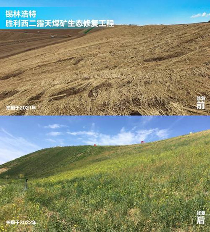 防沙治沙：让绿色梦想照进现实